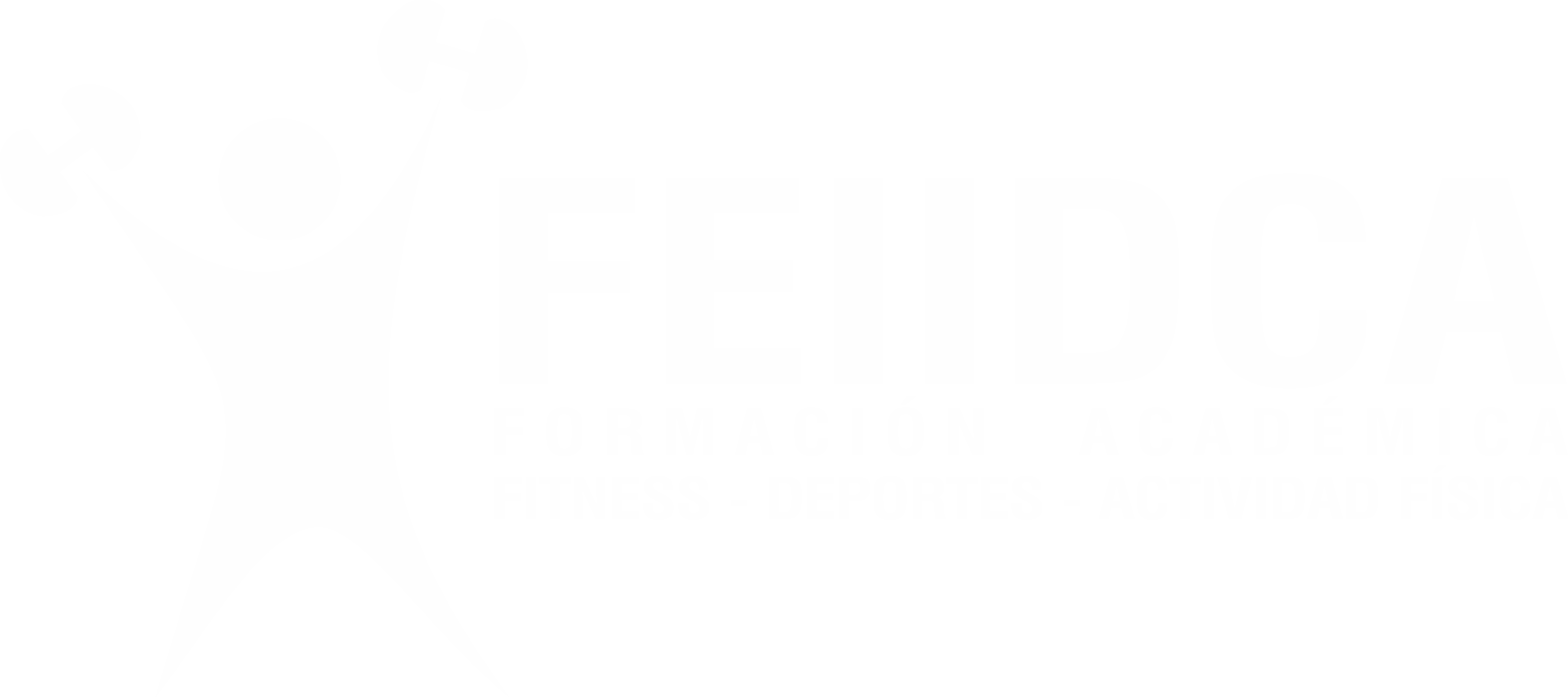 Aula Virtual - Feiidca