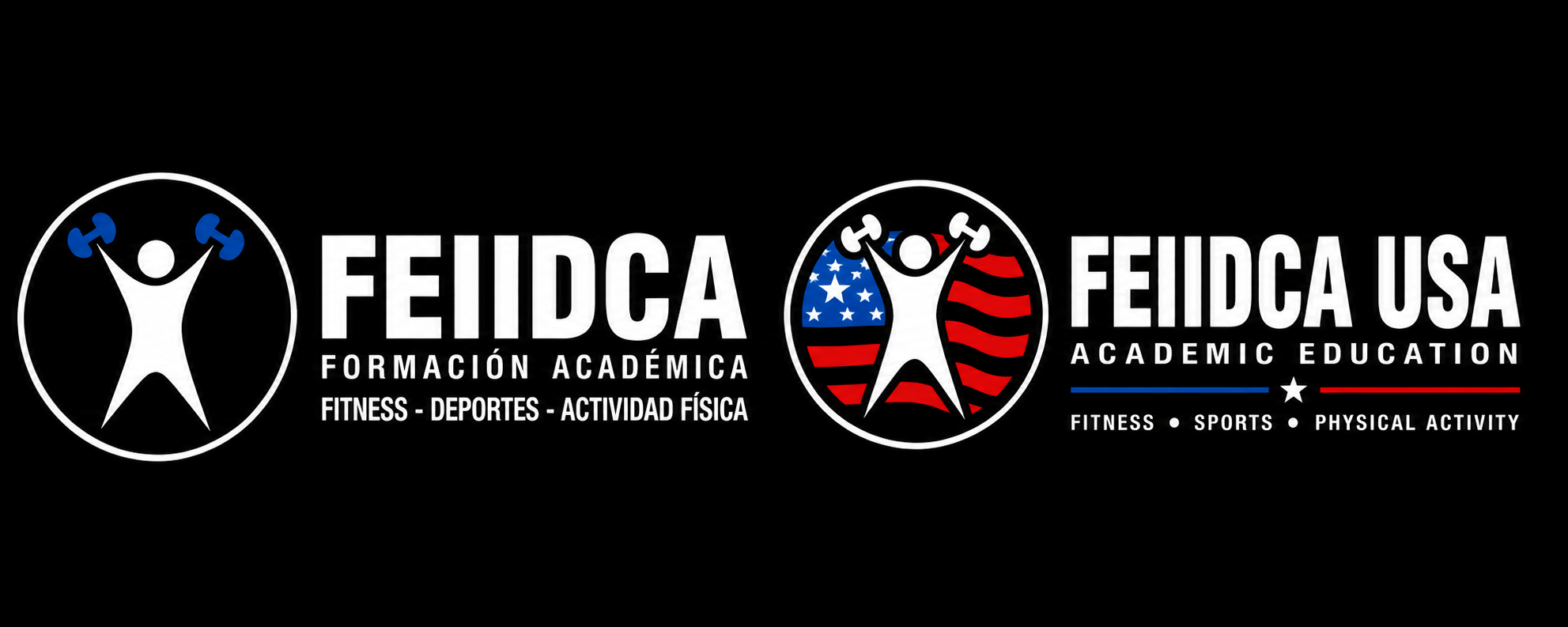 Aula Virtual - Feiidca